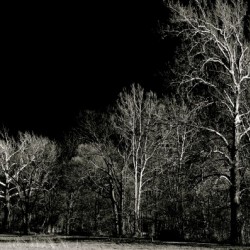 Black and White 03